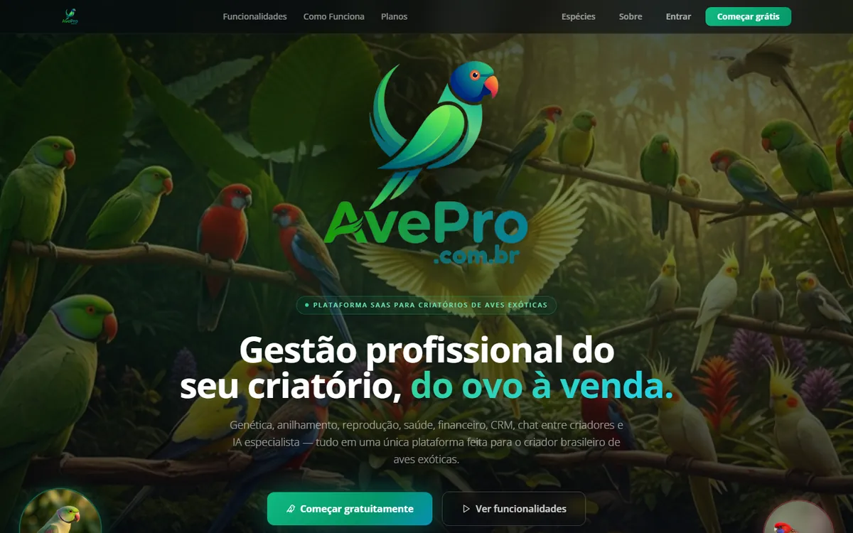 Página inicial do site AvePro
